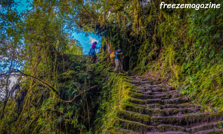  Inca Trail to Machu Picchu