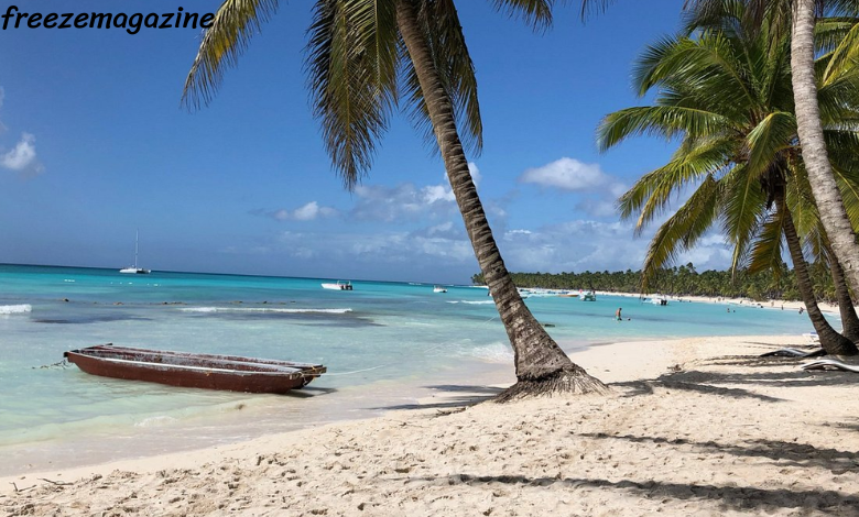 Saona Island excursion