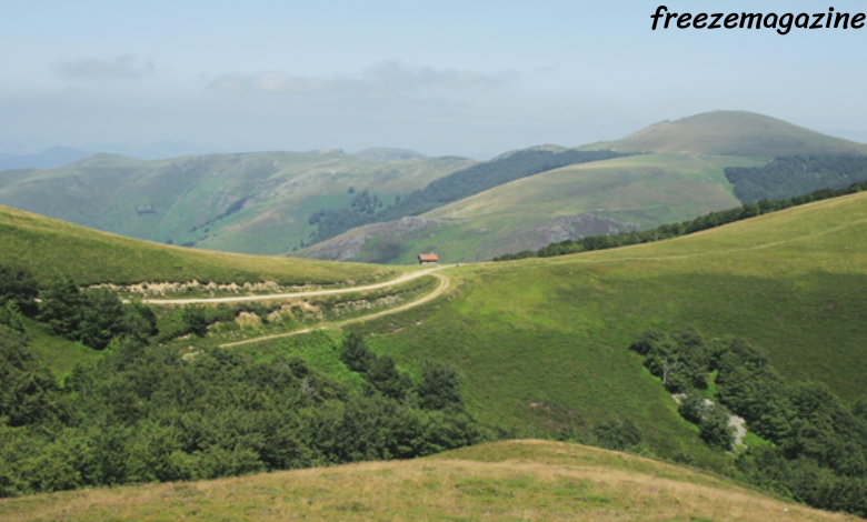 Camino de Santiago tours