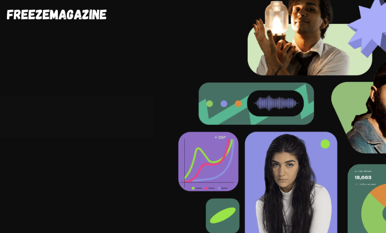 Music Marketing Expert overview