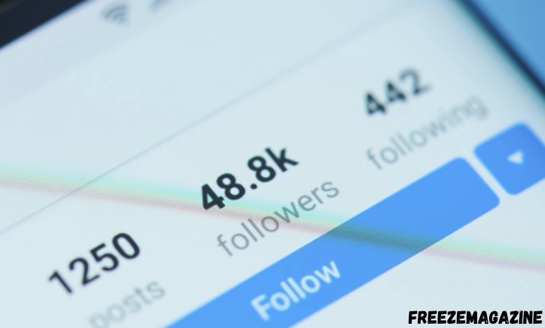 View Instagram Followers Like a Pro