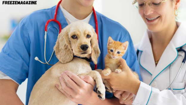 veterinarian in Madison, GA