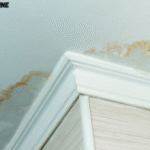 bathroom leak repair