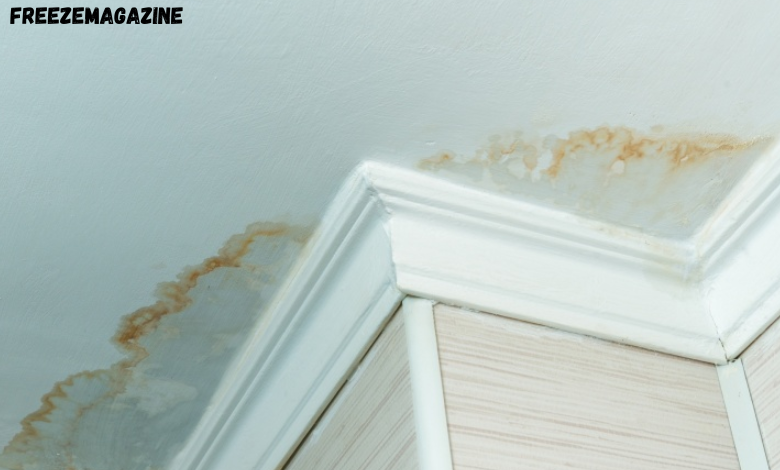 bathroom leak repair