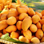 mangoes in UK