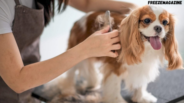 veterinarian in West Grove