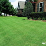 North East Landscaping Services