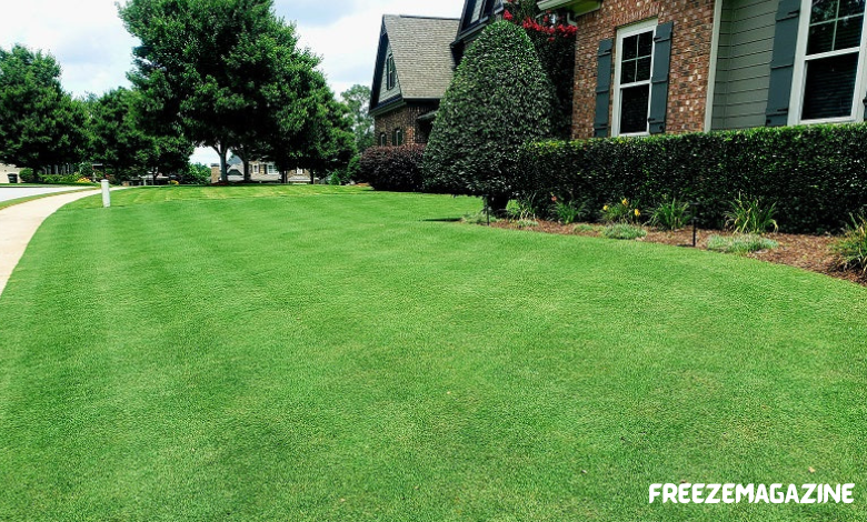 North East Landscaping Services